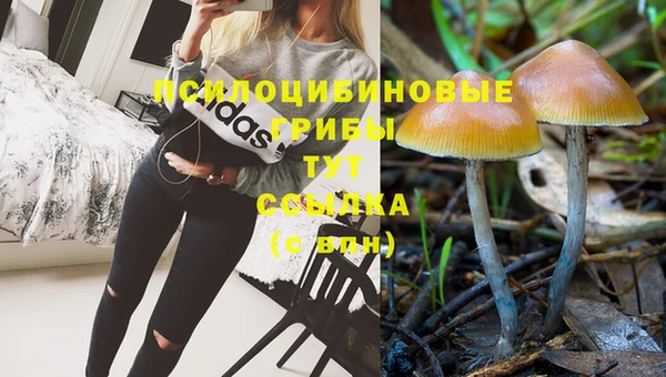 кокаин перу Бородино