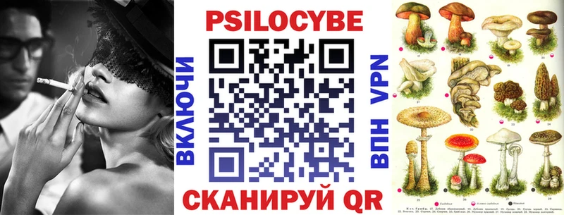 купить наркотик  мега онион  Галлюциногенные грибы GOLDEN TEACHER  Дедовск 